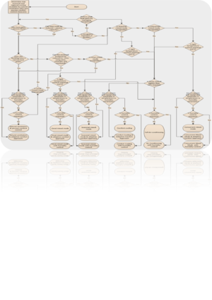 NV-Decision Tree.png