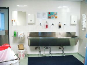 Scrub area example 1.jpg